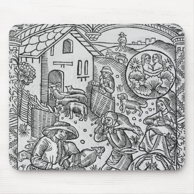 Juni får som klipper, Gemini Musmatta (Framsidan)