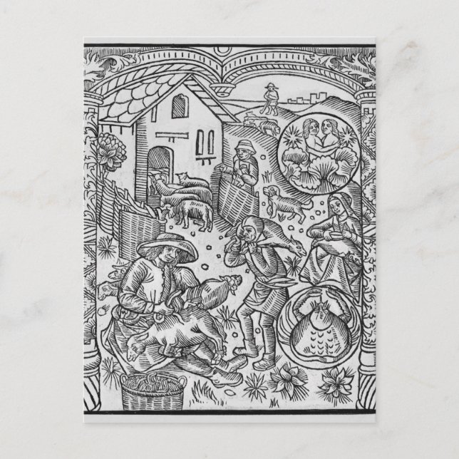 Juni får som klipper, Gemini Vykort (Framsida)