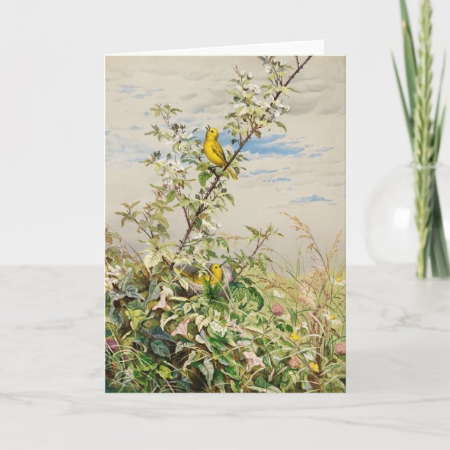 juni | Fidelia Bridges Kort (Framsida)