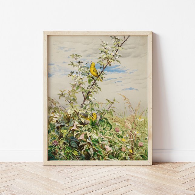 juni | Fidelia Bridges Poster (Skapare uppladdad)