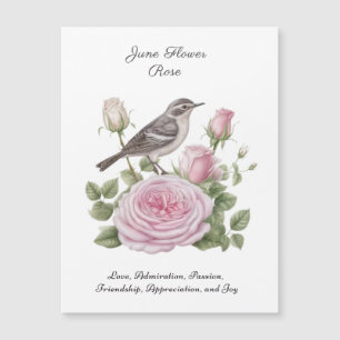 Juni Födelsemånad Flower Ro Elegant Birthday
