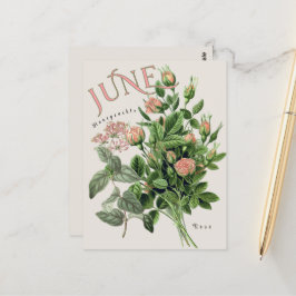 Juni månad blommor Kaprifol Ros Beige Vykort