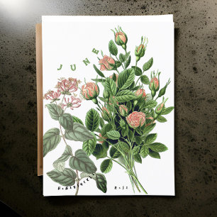 Juni månad blommor vildkaprifol ros vykort