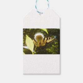 Juni monark blomsterpresentkort presentetikett