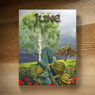 Juni Month Träd Fig Apple Birch Vykort