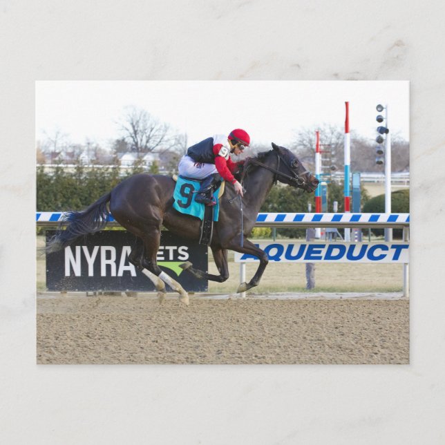 Junior Alvarado med Flat Lugn Vykort (Framsida)