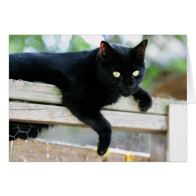 Junior Hälsningskort (Framsidan Horizontal)