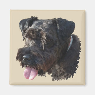 Junior The Schnauzer, magnet