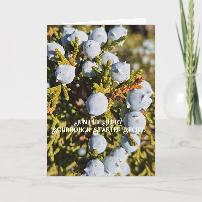 Juniper Berry Sourdough Starter Recept Card Kort (Framsida)