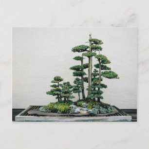 Juniper Bonsai Forest Vykort