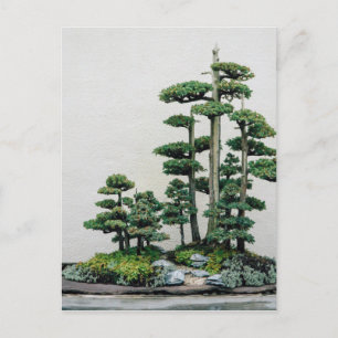 Juniper Bonsai Forest Vykort