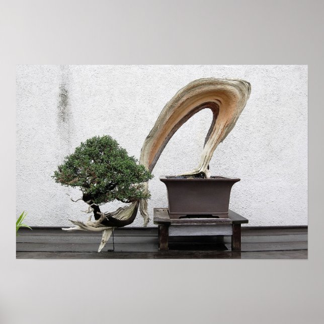 Juniper Bonsai Poster (Framsidan)