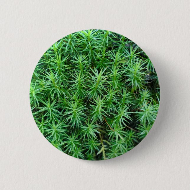 Juniper Hair Cap Moss Badge Knapp (Framsida)