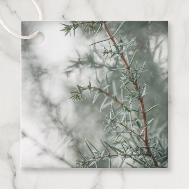 Juniper Nature Photo Gåvor Etiketter (Framsida)