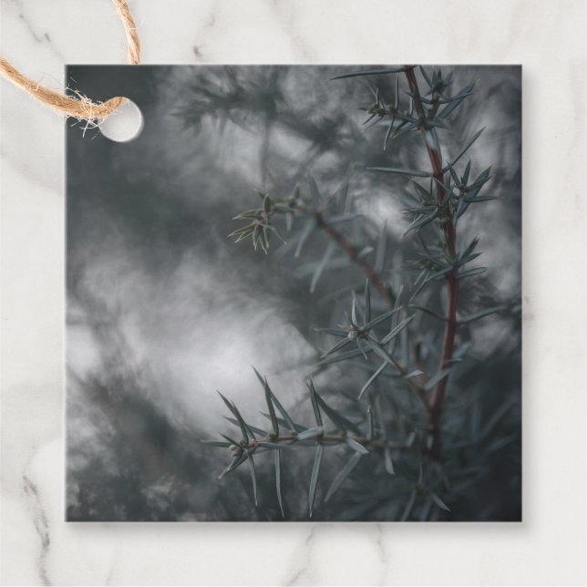 Juniper Nature Photo Gåvor Etiketter (Framsida)