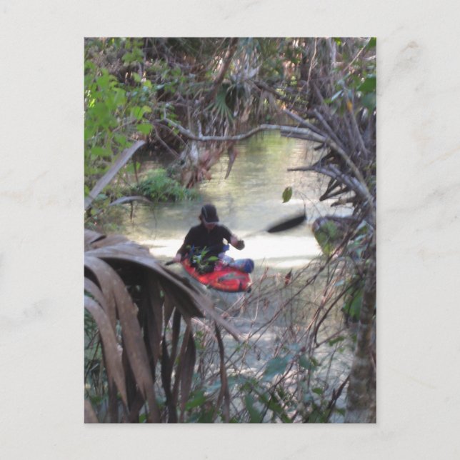 Juniper Vår, Fl Vykort (Framsida)