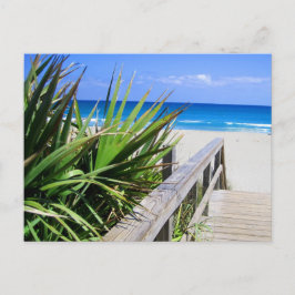 Juno Beach Florida Vykort