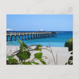 Juno Beach Pier Vykort