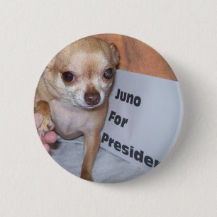 Juno för president knapp