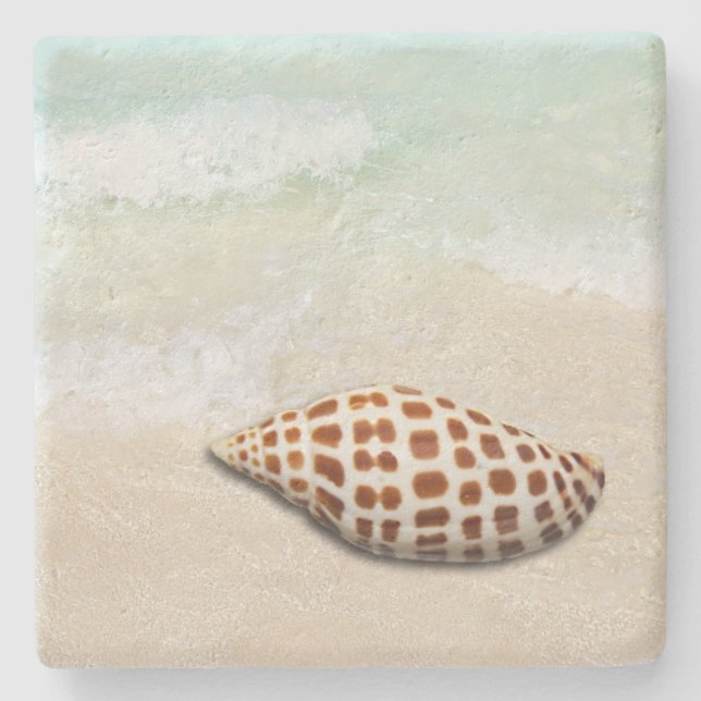 Junonia Seashell på Beach Underlägg (Framsidan)