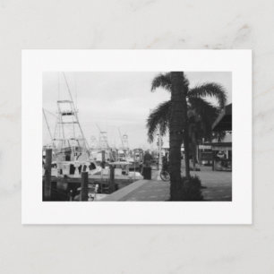 Jupiter, Florida Black & White Photo-vykort Vykort