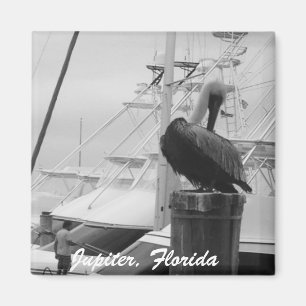 Jupiter, Florida Boats & Pelican Photo Magnet