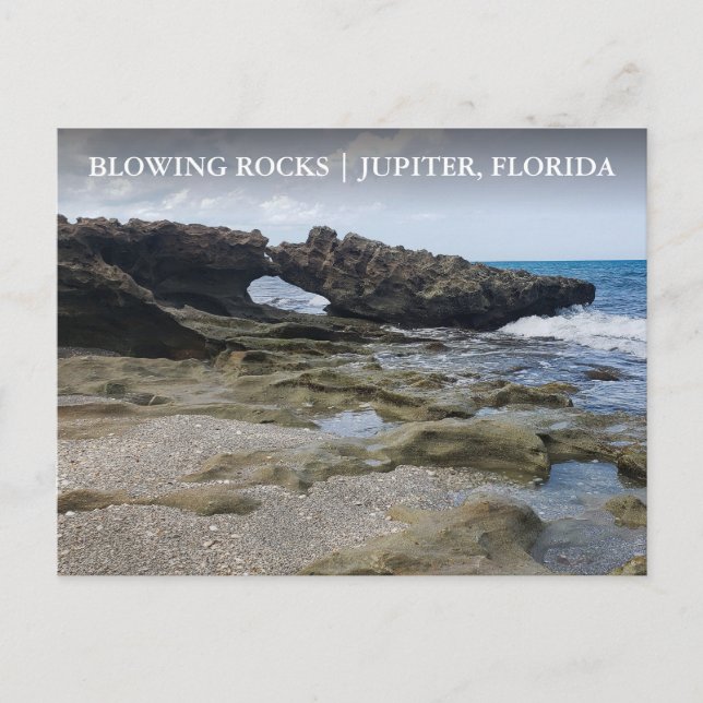 Jupiter Island Florida Blowing Sten Preserve Vykort (Framsida)