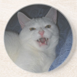 Jupiter kustfartyg underlägg sandsten