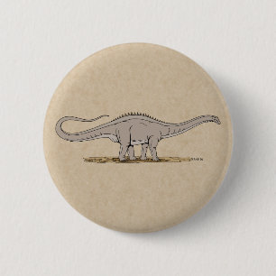 Jurassic Dinosaur Apatosaurus Knapp