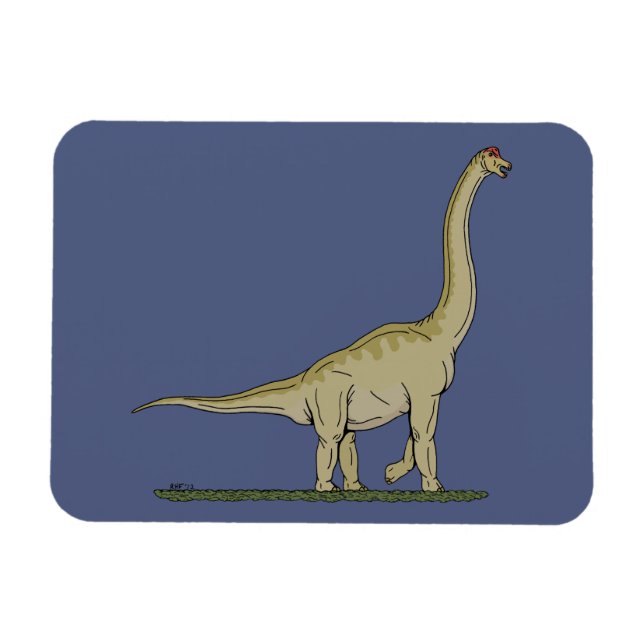 Jurassic Dinosaur Brachiosaurus Magnet (Horisontell)