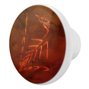 Jurassic Fossil Knopp