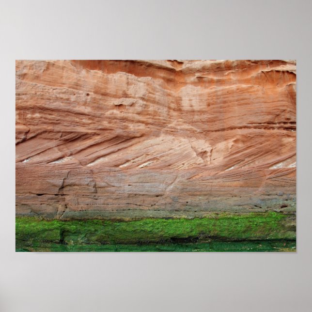 Jurassic Kusten red sten, Devon, England Poster (Framsidan)