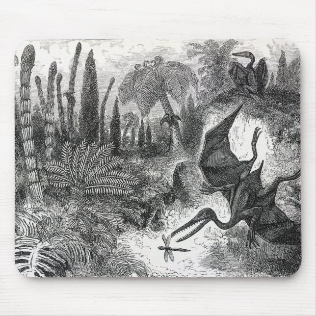 Jurassic Pterodactyls Musmatta (Framsidan)