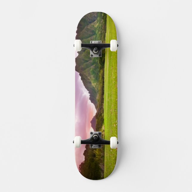 Jurassic solnedgång skateboard bräda 21,5 cm (Framsida)