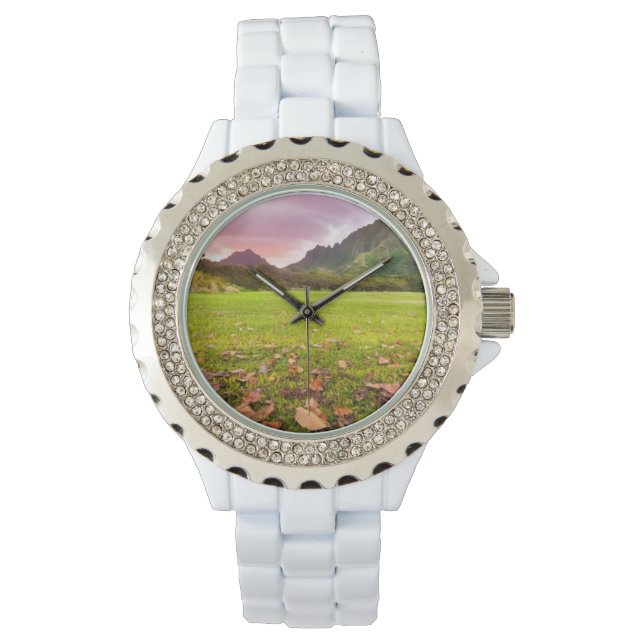 Jurassic Sunset Armbandsur (Framsida)