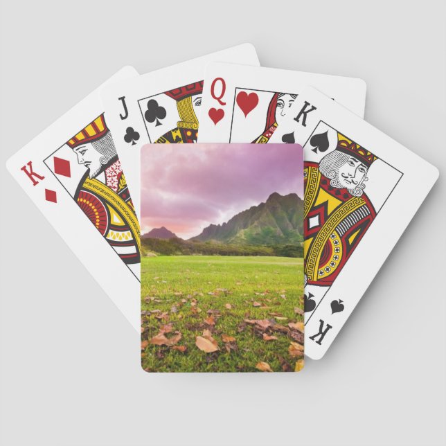 Jurassic Sunset Casinokort (Baksidan)