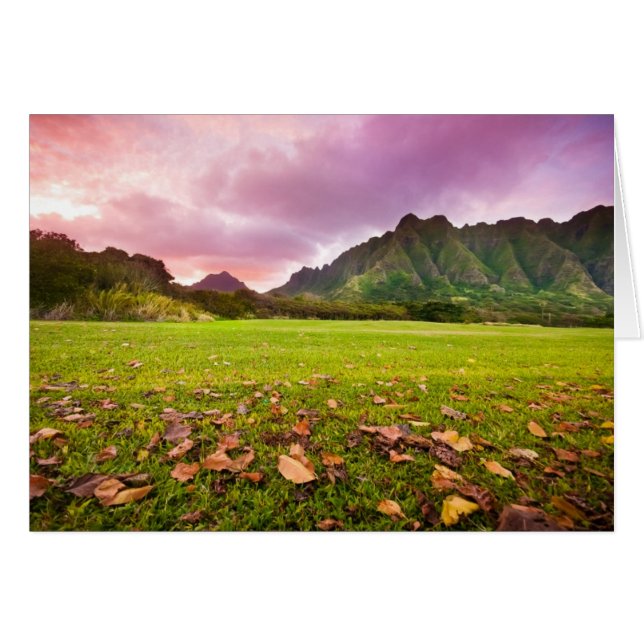 Jurassic Sunset Hälsningskort (Framsidan Horizontal)