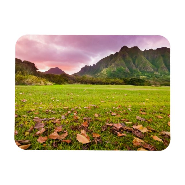 Jurassic Sunset Magnet (Horisontell)