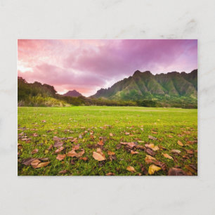 Jurassic Sunset Vykort
