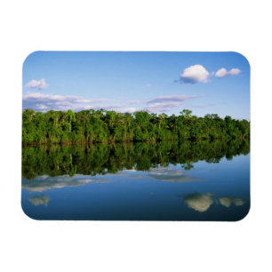Juruena, Brasilien. Skogbeklädd flodstrand reflekt Magnet