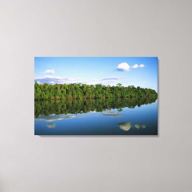 Juruena, Brasilien. Skogklädd flodstrand reflekter Canvastryck (Framsida)