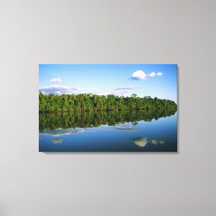 Juruena, Brasilien. Skogklädd flodstrand reflekter Canvastryck