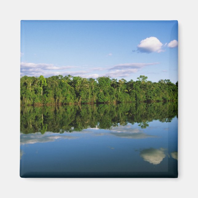 Juruena, Brasilien. Skogklädd flodstrand reflekter Magnet (Framsidan)