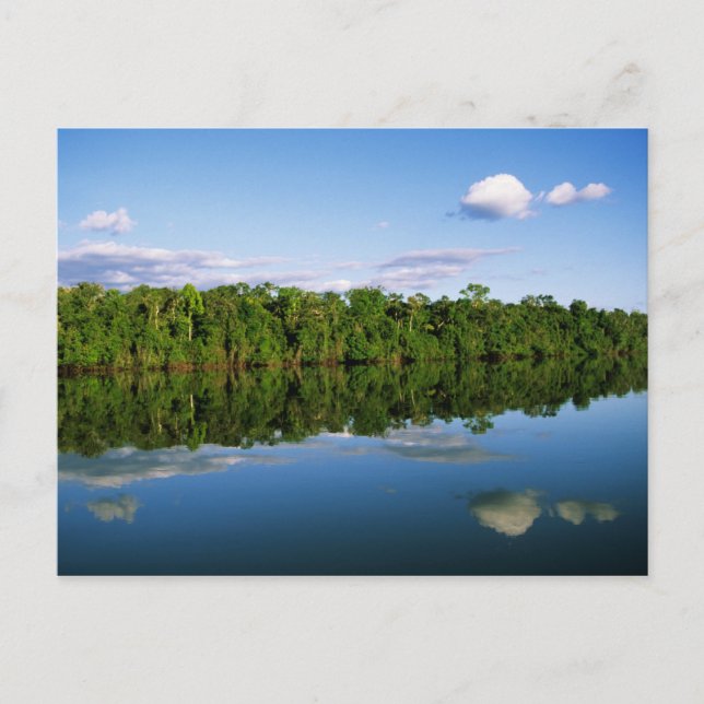 Juruena, Brasilien. Skogklädd flodstrand reflekter Vykort (Framsida)