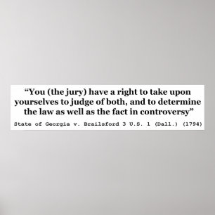 Jury Nullification State Georgia vs Brailsford Poster