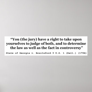 Jury Nullification State Georgia vs Brailsford Poster