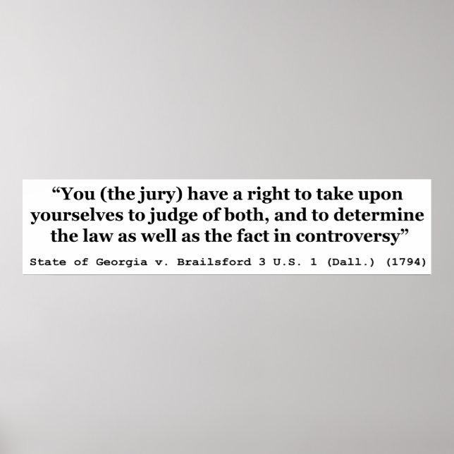 Jury Nullification State Georgia vs Brailsford Poster (Framsidan)
