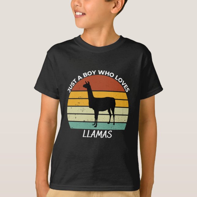 Just a boy who loves llamas t shirt (Framsida)
