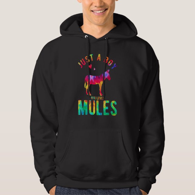 Just A Boy Who Loves Mules Mule Lover Funny Mule Hoodie (Framsida)