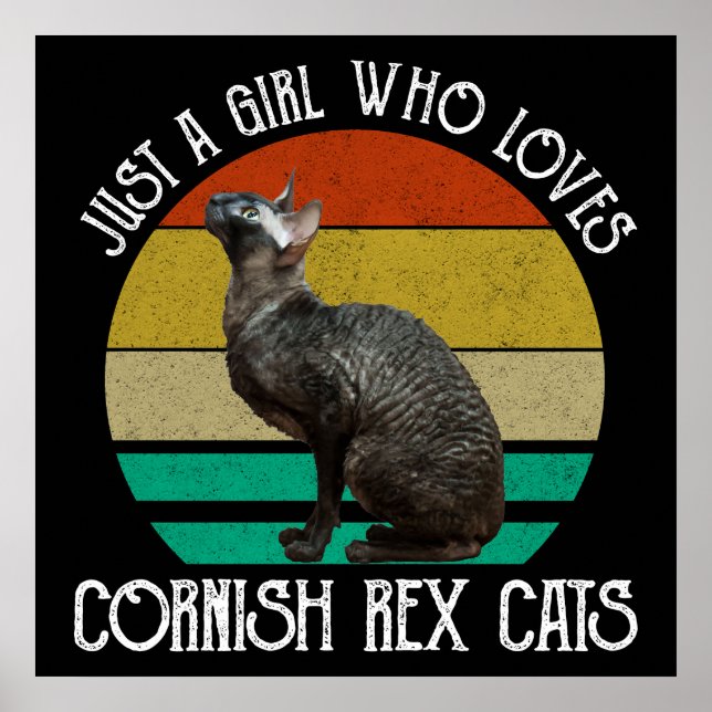 Just A Girl Who Loves Cornish Rex Cats Poster (Framsidan)